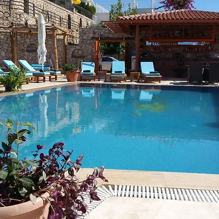 Paradise Villages - Biba 1 كالكان